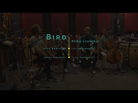 bird/kilka czułości (live) - Anna Kamińska/Emil Smardzewski/Adrian Ciesielski/Filip Turkowski