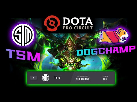 Took first place TSM vs DogChamp DPC SPRING 2023 DOTA 2