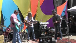 Stu Allen - China Cat Sunflower... I Know You Rider