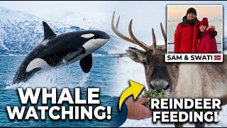Day trip from Tromsø Whale Watching & Reindeer Safari - Ep 3 | Norway Travel Guide 2026