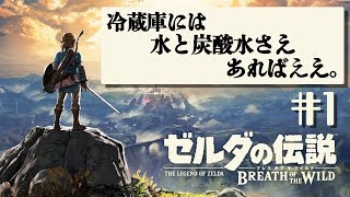 十何年かぶりのゼルダ #1【ゼルダの伝説BotW】