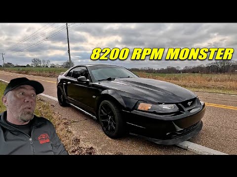 Hide your TERMINATOR, this GT is packing some SERIOUS heat!