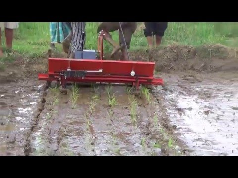 Rice Transplanter - Rice Planting Machine Latest Price, Manufacturers ...