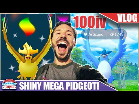 FIRST SHINY *MEGA PIDGEOT* EVOLUTION & 100 IV ARTICUNO! | Pokémon GO Vlog