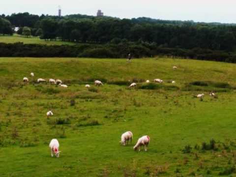 The Curragh of Kildare, Christy Moore