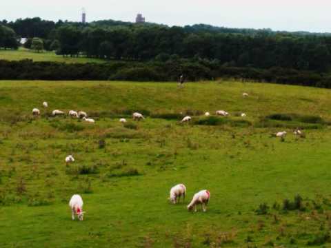 The Curragh Of Kildare video