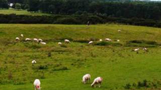 The Curragh of Kildare, Christy Moore