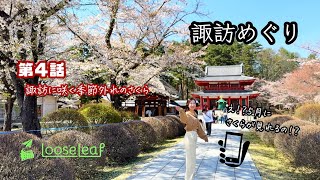 諏訪めぐり 第４話「諏訪に咲く季節外れのさくら」