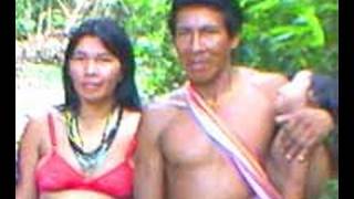 INDIOS KAAPOR AMAZONIA BRASIL