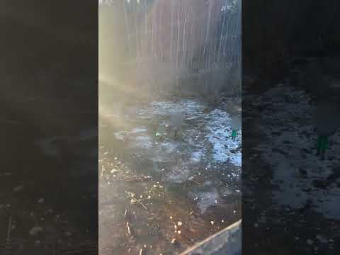 Дети в парке "За Саймой" проверяют лед на прочность 🫣