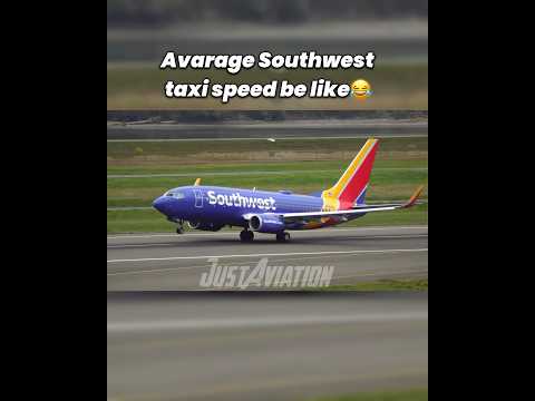 Southwest should join Formula 1⚡️