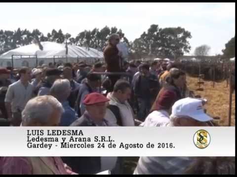 24-08-16 Nota Luis Ledesma - Cabaña Los Ceibos e Invitados - Gardey.