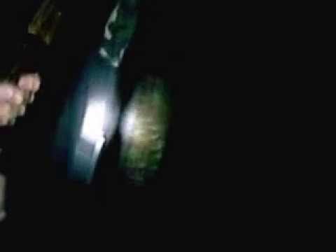 berburu luwak ketemu penampakan kuntilanak