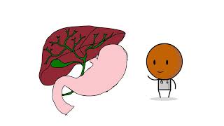 Cholecystitis Decoded: Everything you NEED TO KNOW