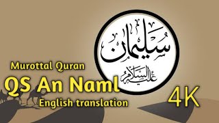 Download lagu Surah An Naml  Ayat 20-30 Syekh Mansur Al Salimi 4K mp3