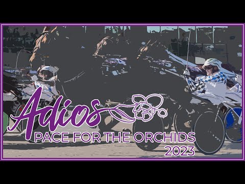 2023 Delvin Miller Adios Final - Cannibal - 3CP