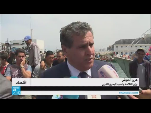 عزيز أخنوش وزير الفلاحة المغربي في زيارة ميدانية لميناء الحسيمة