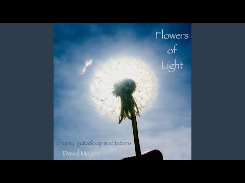 Agua De Luz - Flowers of Light - Dreamy Guitarloop Meditations (Chintan-Mix)