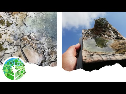 Super-realistic desert pool diorama with cracked earth