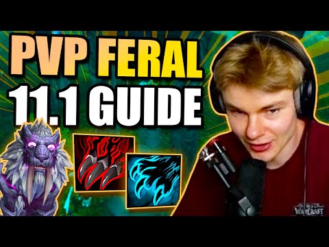Feral Druid 11.2 PvP Guide | Talents, Rotation, Gear and More!