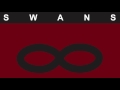 Swans -  Mind/Body/Light/Sound