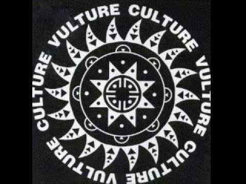 Banshee Reel - Culture Vulture (Full Album)