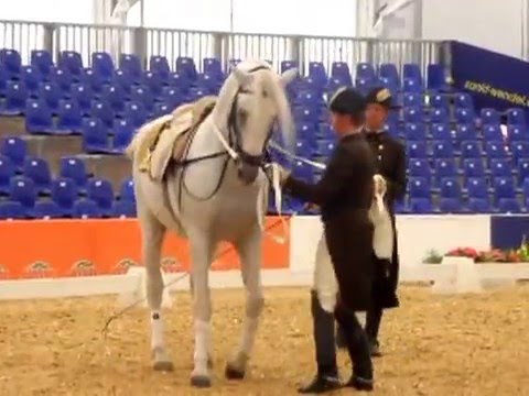 Spanische Hofreitschule