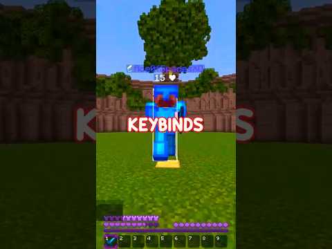 Why Pros NEVER Use Default Keybinds 🔒 #minecraft #pvp #minecraftpvp #fyp #viralshorts