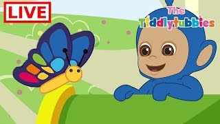 Teletubbies LIVE ★ NEW Tiddlytubbies 2D Series! ★ Episodes 7- 9: Butterflies!  ★ Cartoon for Kids