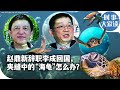 时事大家谈：赵鼎新辞职李成回国，夹缝中的“海龟”怎么办？