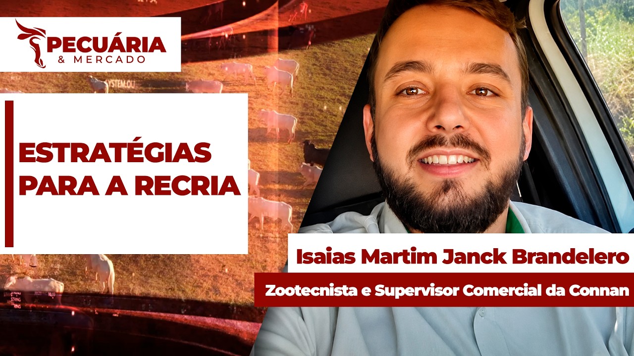 Manejo de pastagens e suplementação alimentar como estratégias para a recria