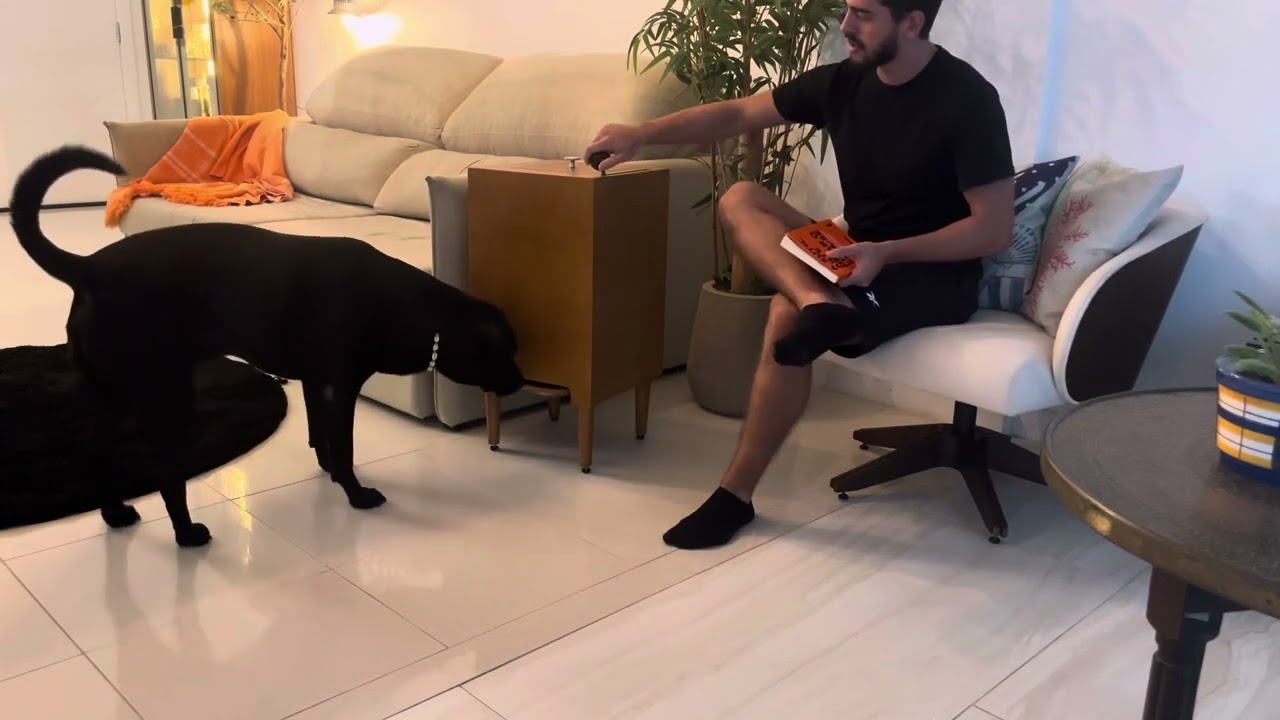 thumbnail video youtube