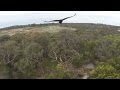Eagle Knocks Drone Out Of Sky