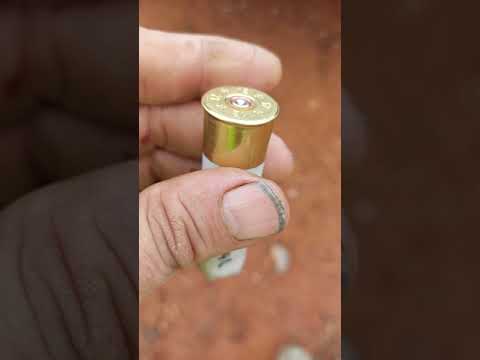 16 pellet single 0 tps white lightning half cut. too tight