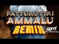 Dj DONZ - Pattukottai Ammalu Remix | 2023 Tik TokTrending Hitz