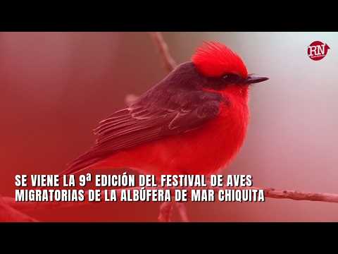 Se viene la 9ª edición del Festival de Aves Migratorias de la Albúfera de Mar Chiquita