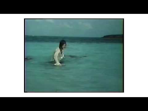 Brian Reitzell feat. Debbie Harry & Shirely Manson - "Tehran 1979" (FanAlternative edit)