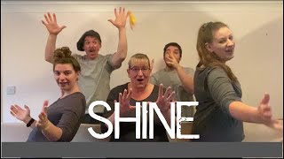 Shine - The Screaming Donkeys