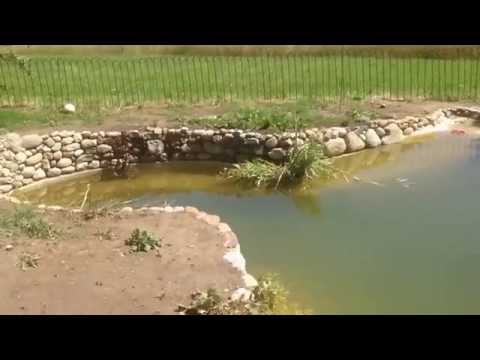 comment renforcer les berges d'un etang