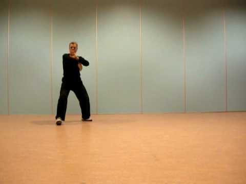 Tai Chi Chuan.Forme "Yang". Partie 1, "La Terre".