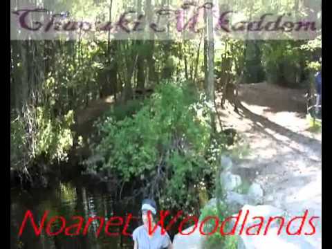 Noanet Woodlands (Chaouki Mkaddem)