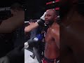 DANIEL JAMES PUNCHES AND ELBOWS TKO! | Bellator 293 is coming! ? #shorts #bellator293
