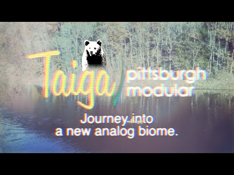 A Journey into Taiga