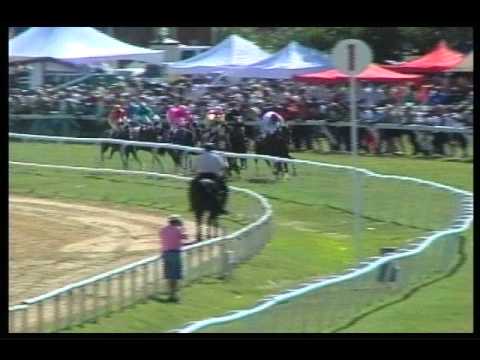 Gold Cup Raceday March 8, 2014