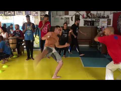 Mestre Coruja e Professor Passarinho CDO MANGALOT