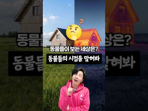 동물들의 눈에는 세상이 어떻게 보일까?