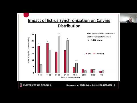 19 - Taking Advantage of Artificial Insemination in Beef Herds - Dr. Pedro Fontes