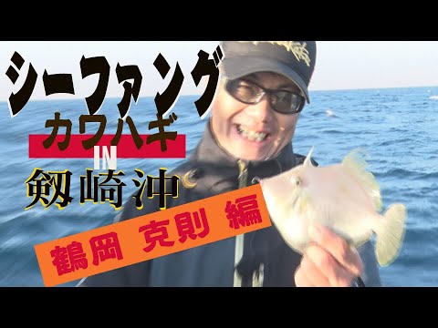 【がま船 シーファング カワハギ】NEWロッドを使い分け　エサ取り名人に挑む！剱崎沖カワハギ釣り！鶴岡克則編