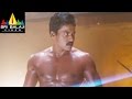Mr Pellikoduku Movie Sunil Powerful Fight Scene Sri Balaji Video