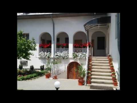 20160619 NICOLAE BALASOIU   DUMINICA A OPTA DUPA PASTI – POGORAREA SFANTULUI DUH – CINCIZECIMEA SAU